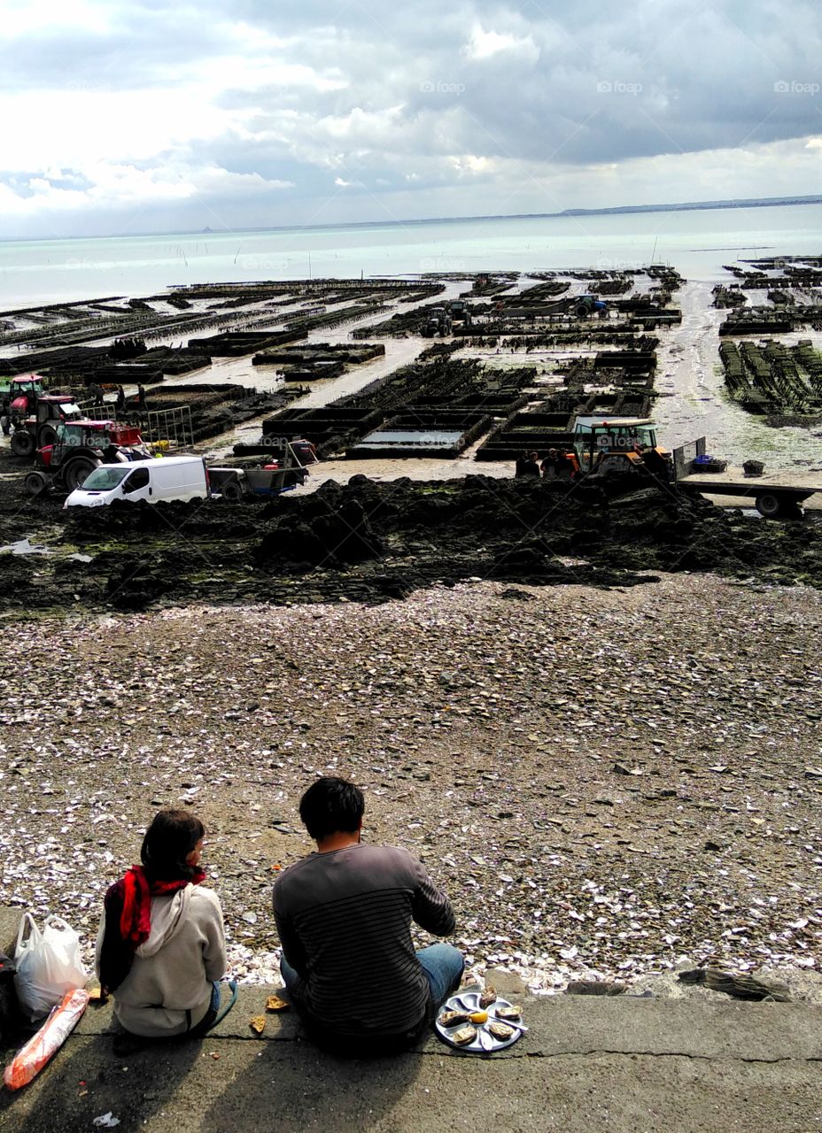 eating fresh oysters