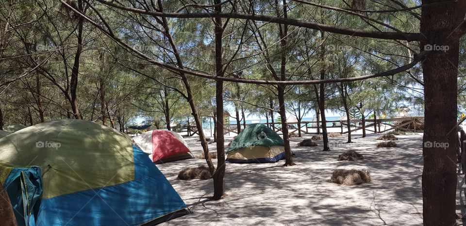 camping by the beach