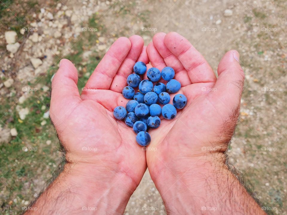 man holds berries in his hands