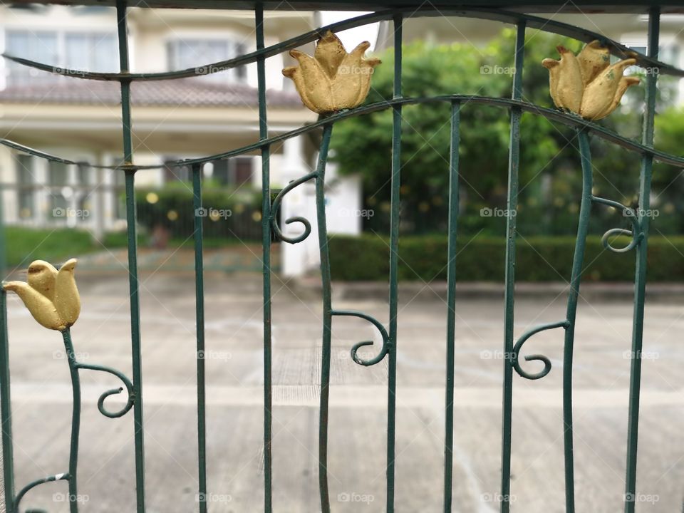 Front flowers of the fence