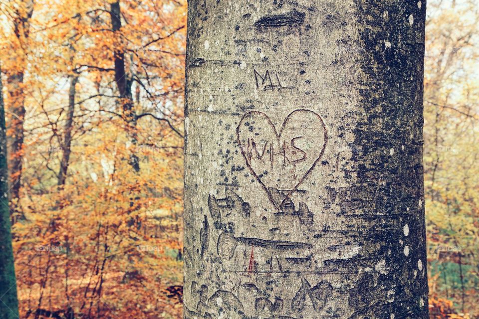 Massage of love in the woods