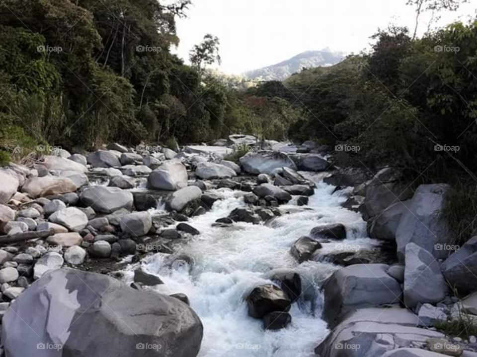 Este  es el Río Chirripo  en Costa  Rica