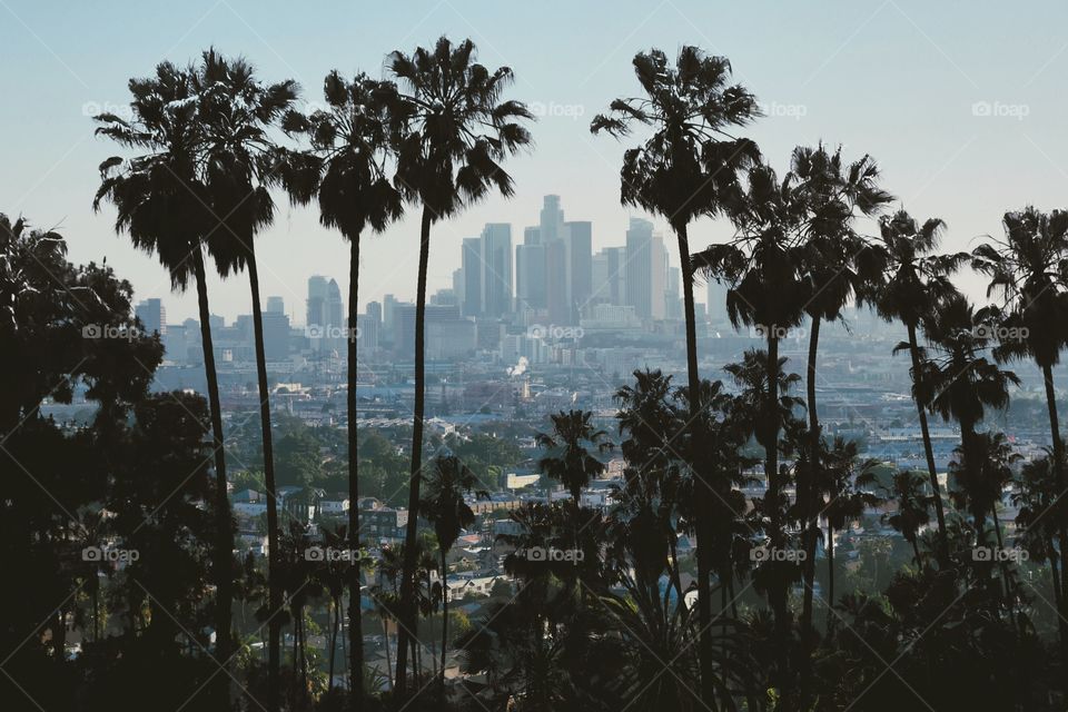 Los Angeles 