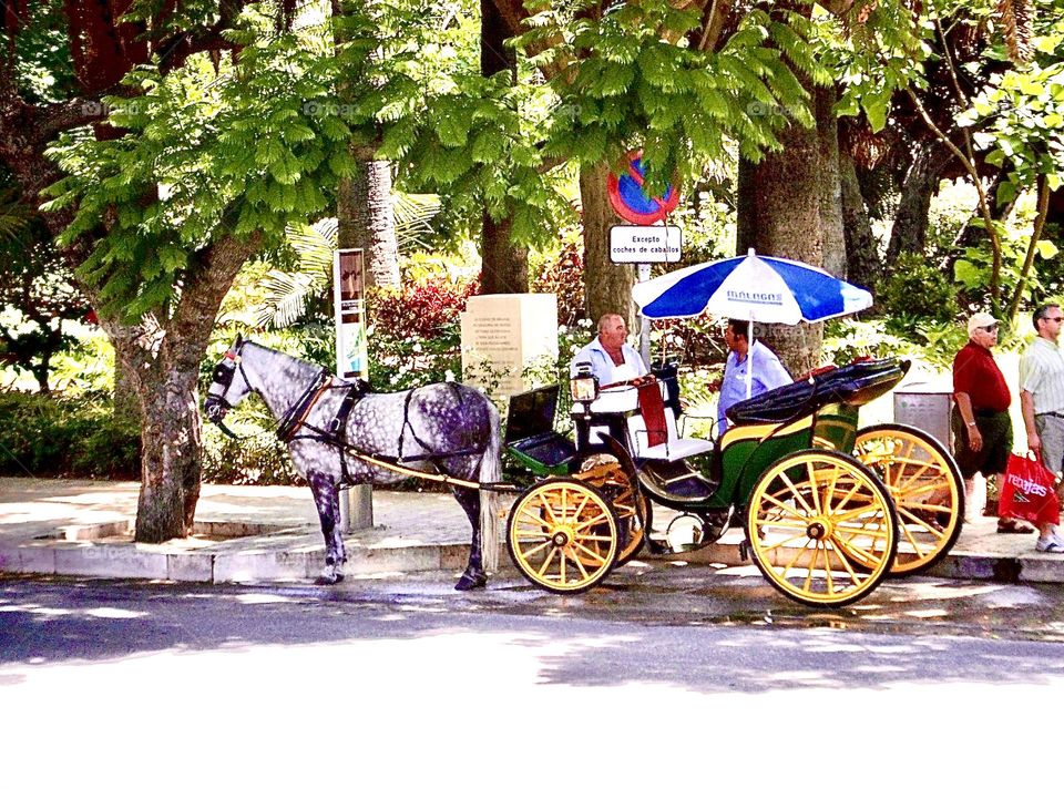 Horse drawn carriage waiting for a rider in Malaga, Spain 