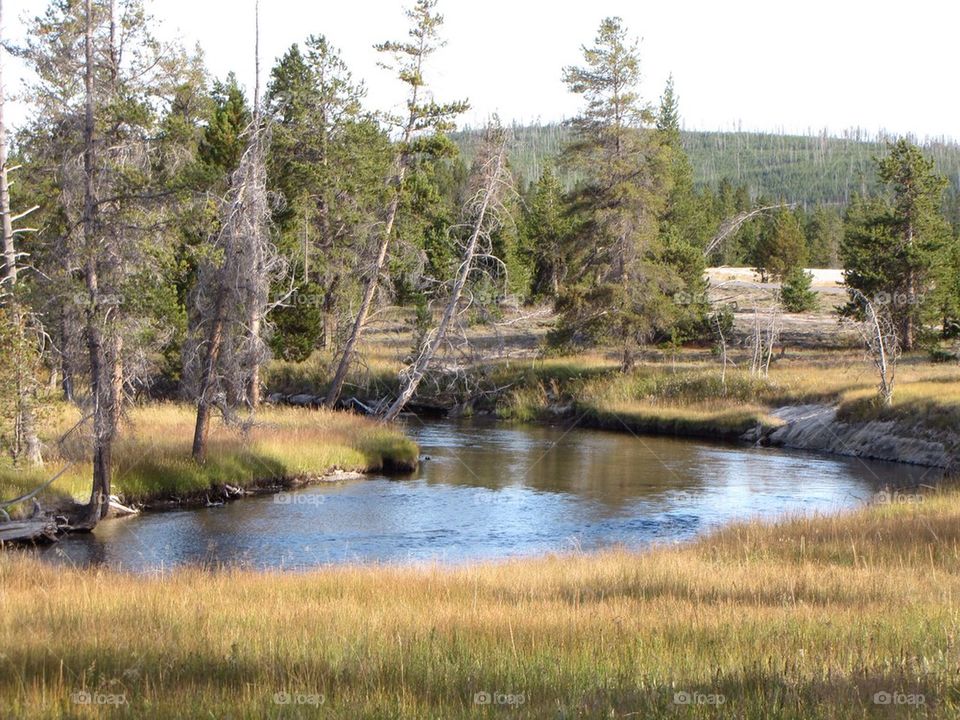 Yellowstone 