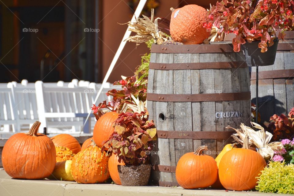 Autumn pumpkin in bucket