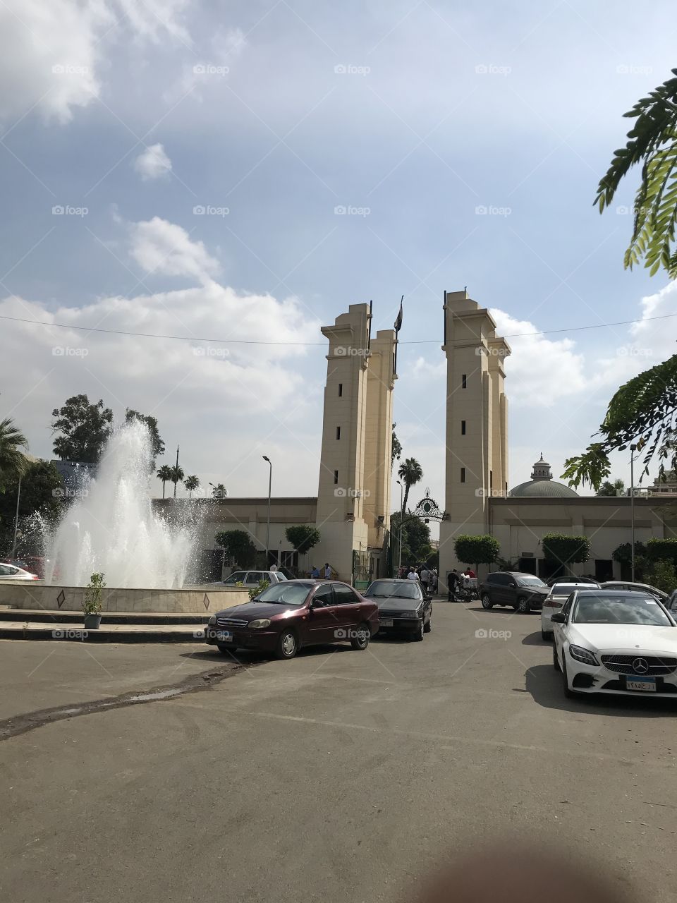 Cairo university
