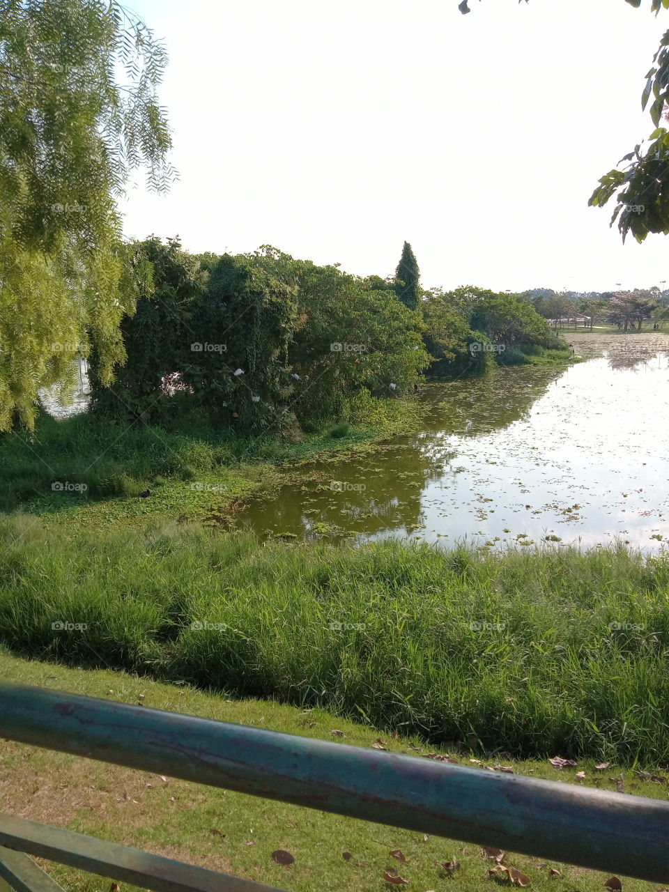 A Natureza e seus encantos