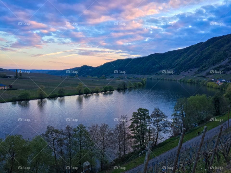 Moselle river and vineyards Landscape at Sunset 