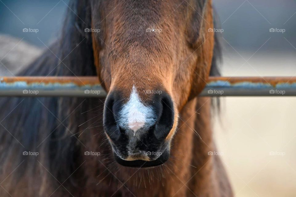 Capturing unique beauty 