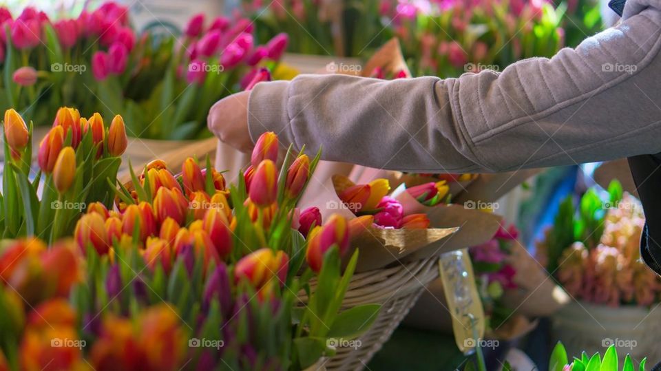 Picking flowers 