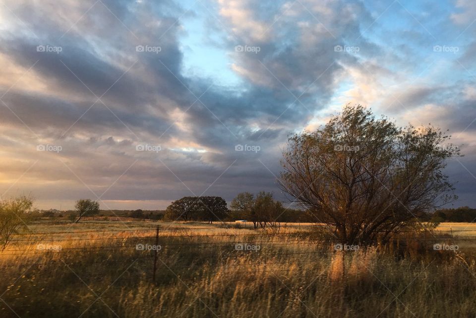 Autumn morning in the pasture with blue sky and storm clouds 
