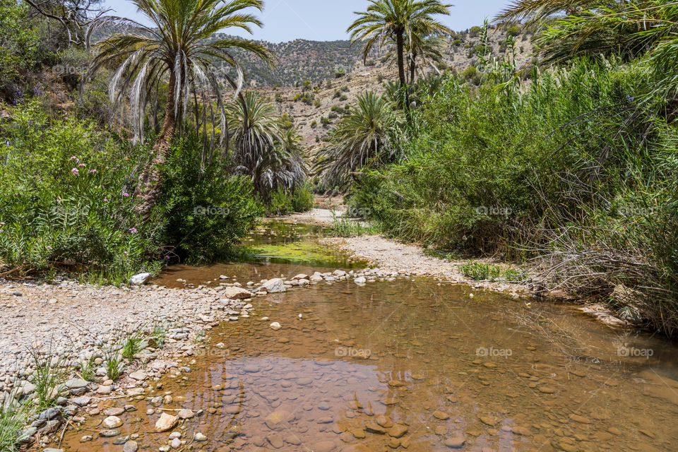 Moroccan Morocco 