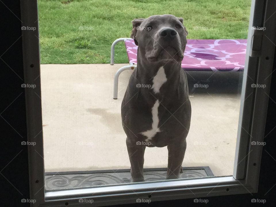Let me in now?
