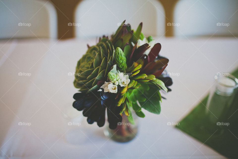 Succulent centerpiece 