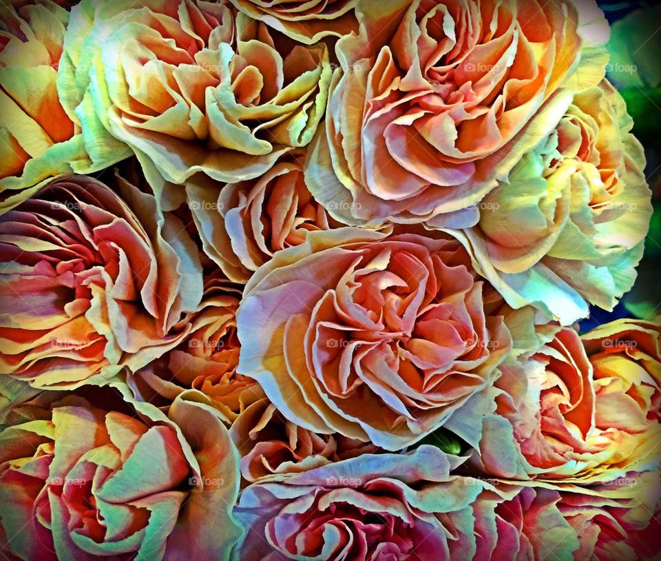 Unique flower bouquet