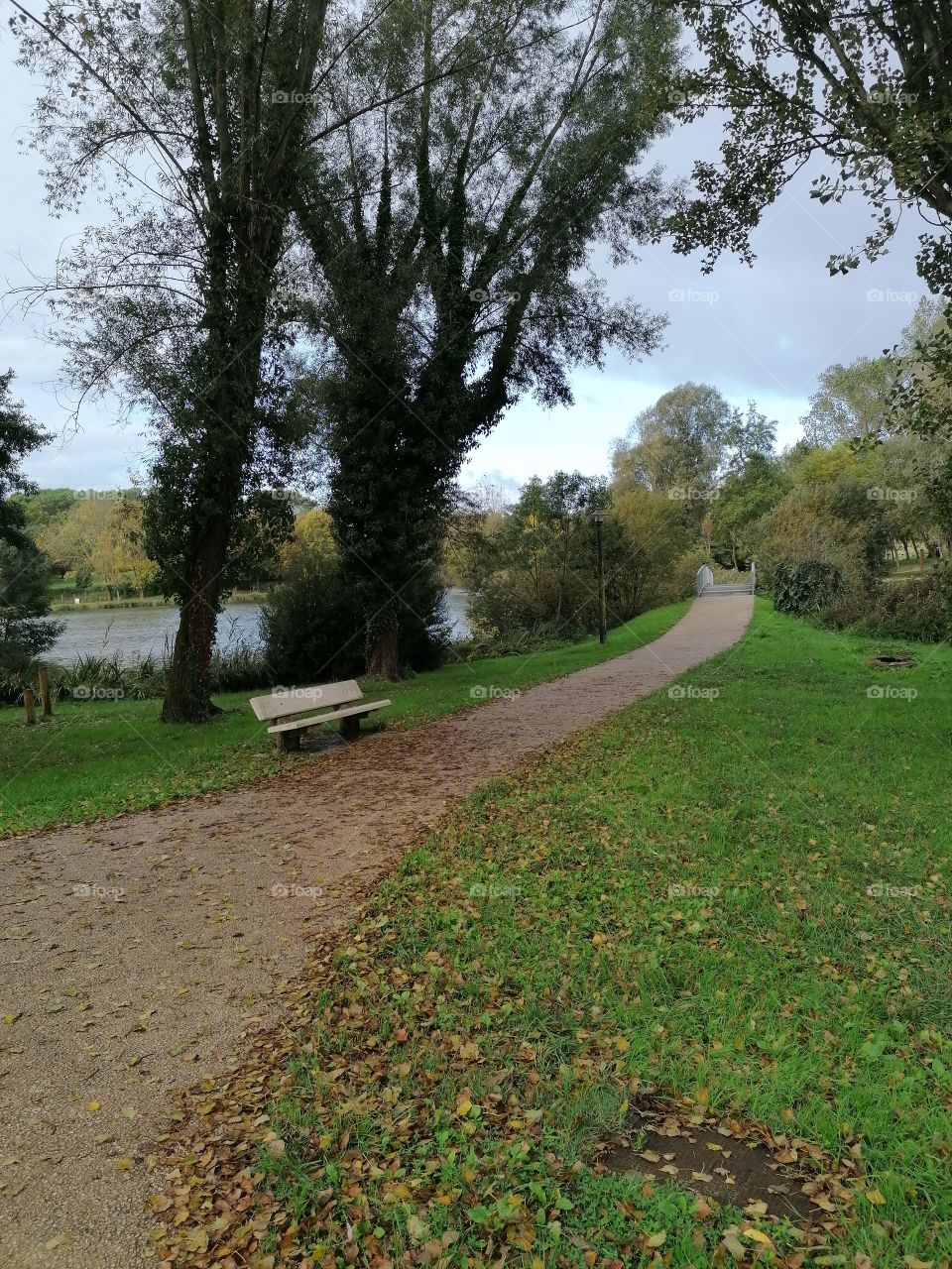 Chemin de parc