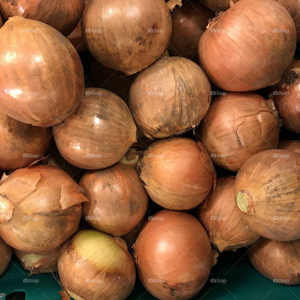 Full frame of fresh onion