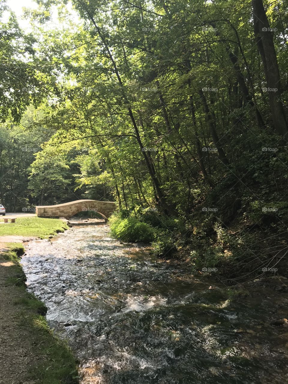 Creek, stone bridge, and wooded area