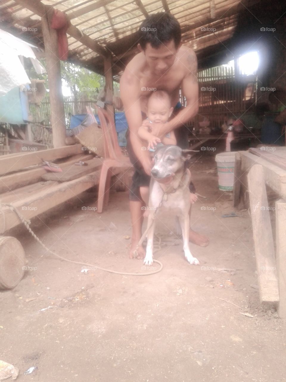 small children boarding the dog not to fear the slightest and is located in indonesia
