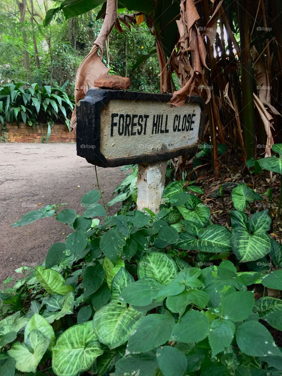 Traveling and exploring is my favorite I found this on the top of hill