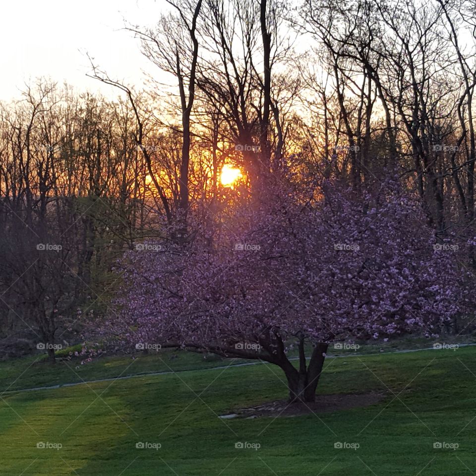 mountain sunrise 418