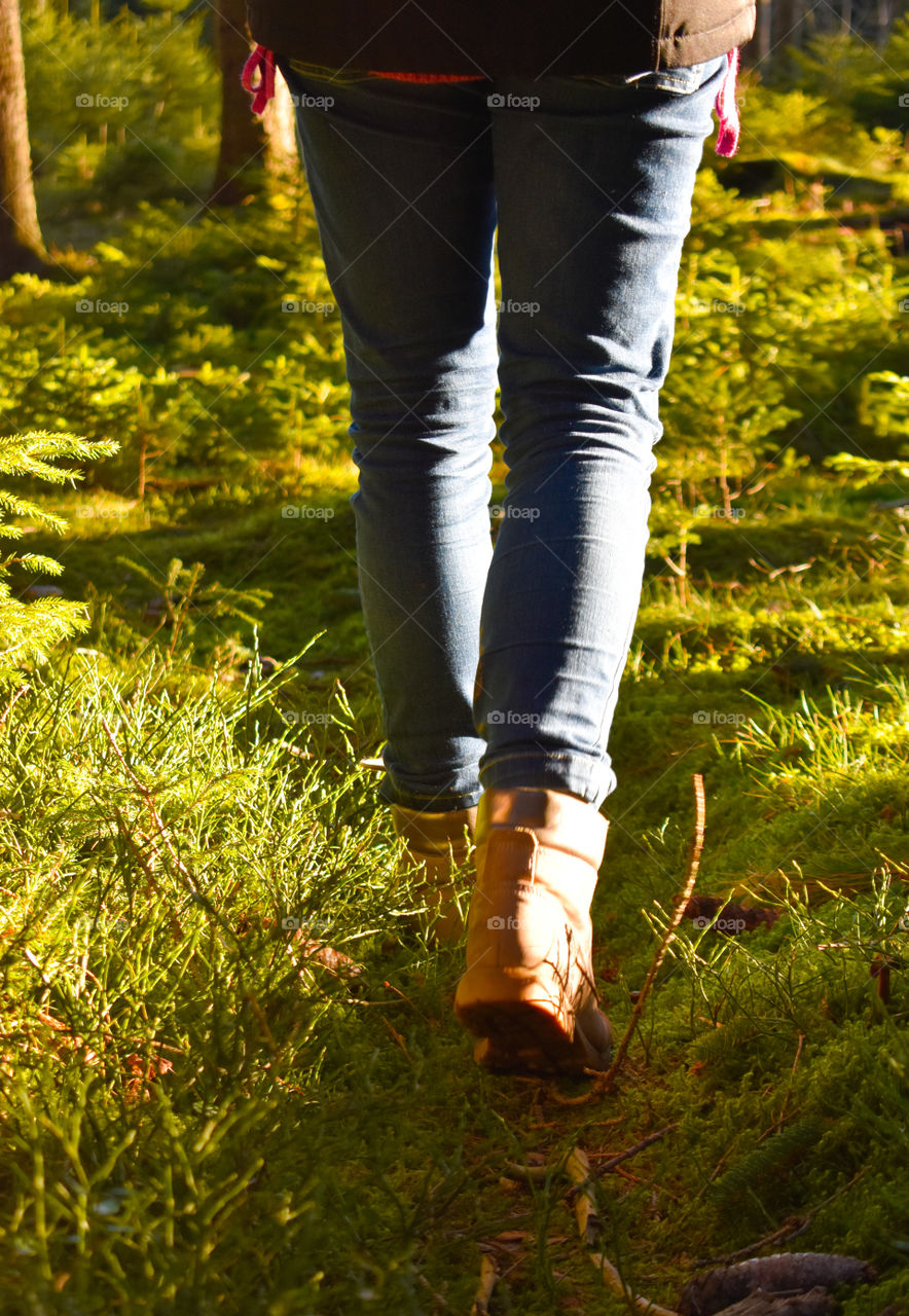 walking in the beautiful forrest