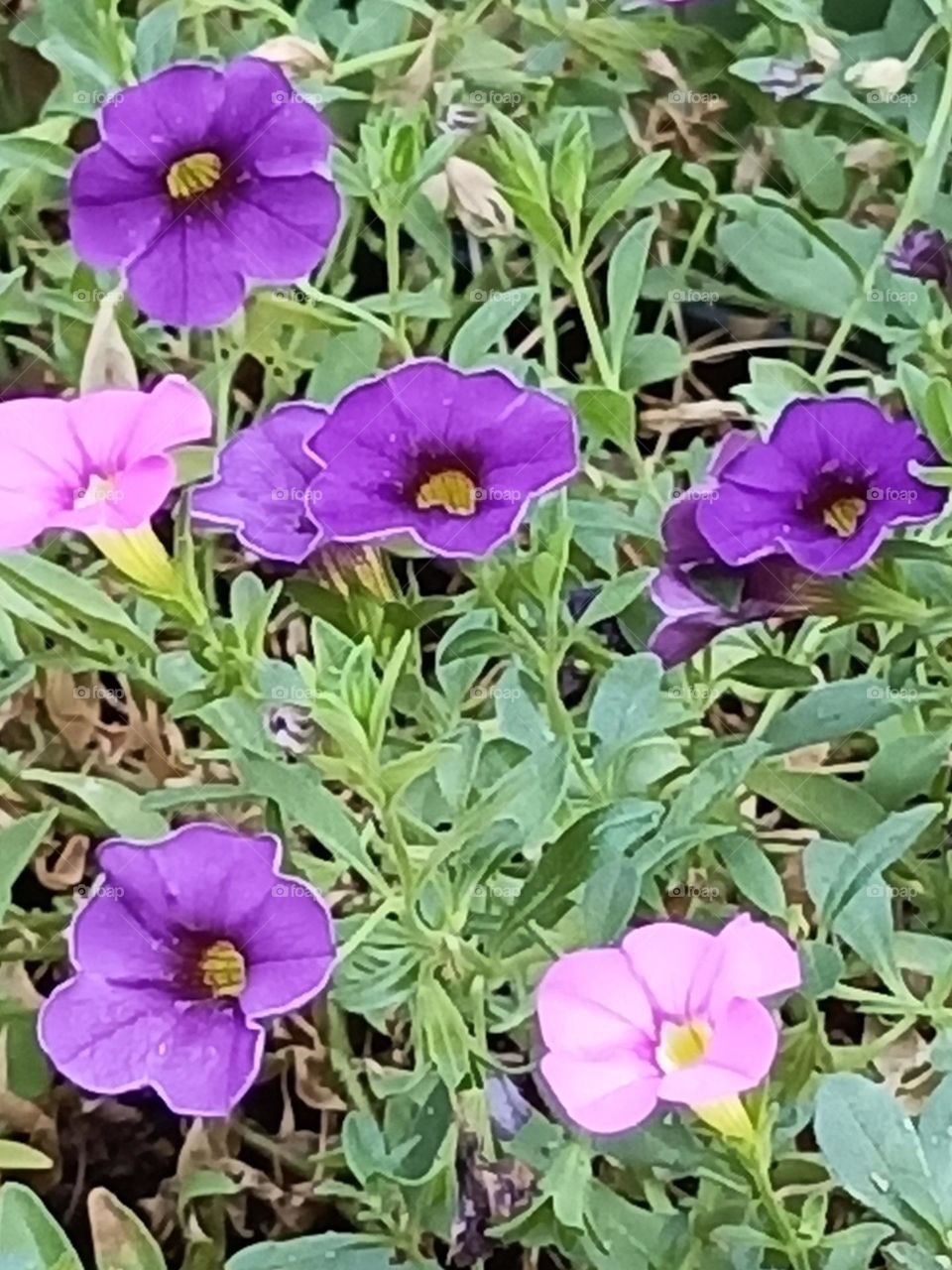 A wonderful combination