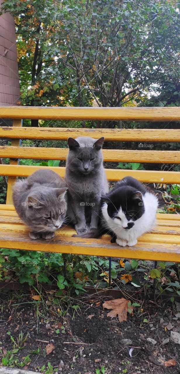 upload your photo of the week