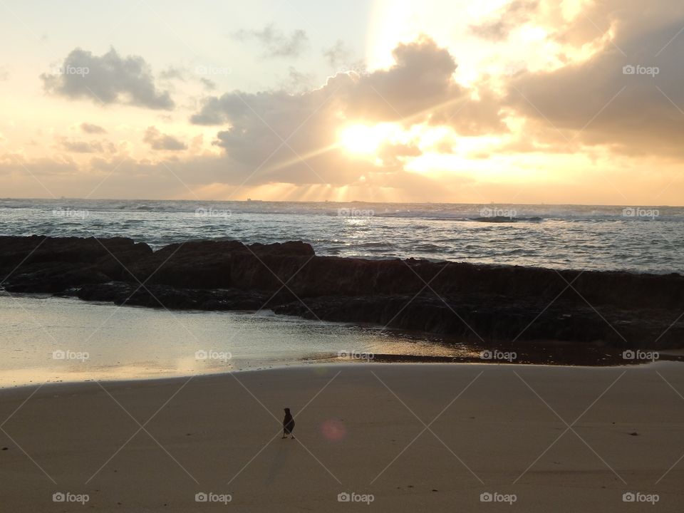 Waiting for the sun to wake up...