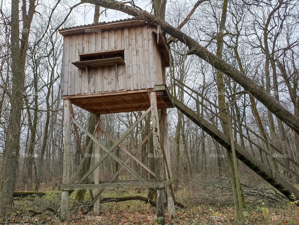 A treehouse