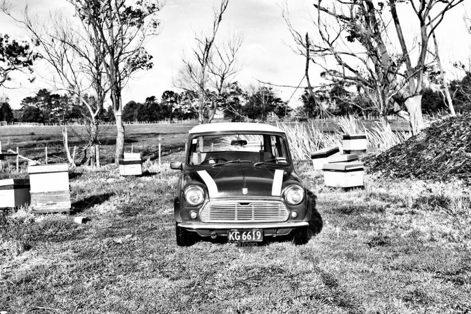 Austin Mini Beekeeping