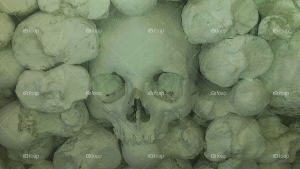Human skull in a prison, Asinara Island in Sardinia, Italy