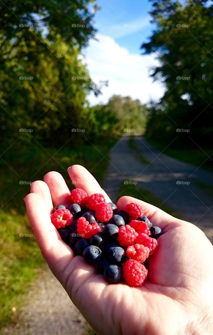 Picked wild berries