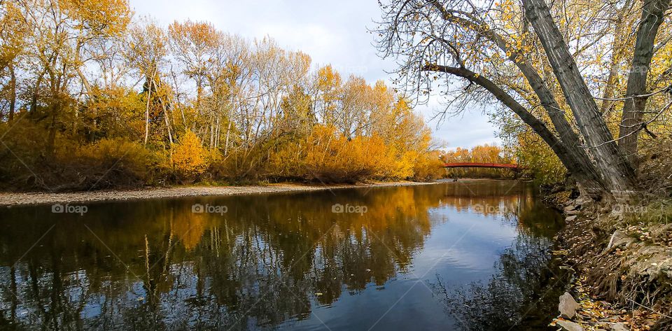 FALLing Colors - So do the leaves in the reflection fall up?