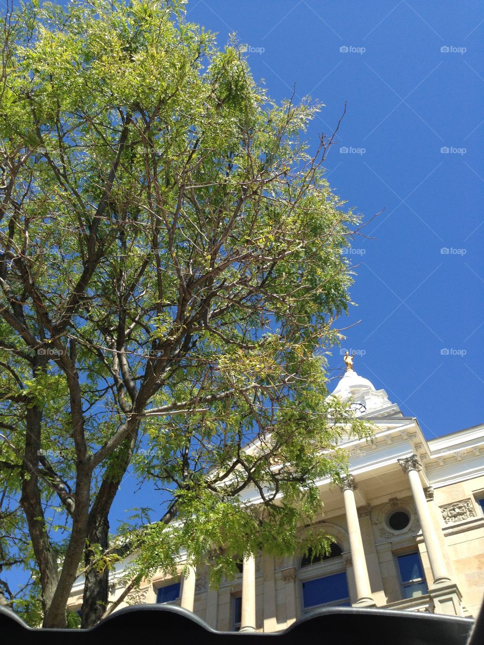 Sunroof view. Sitting in my car looking through the sunroof. Saw the most beautiful blue sky. Take time to notice nature's blessings. 