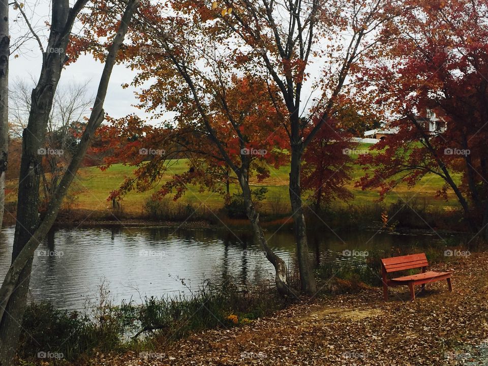 Fall Mountains 