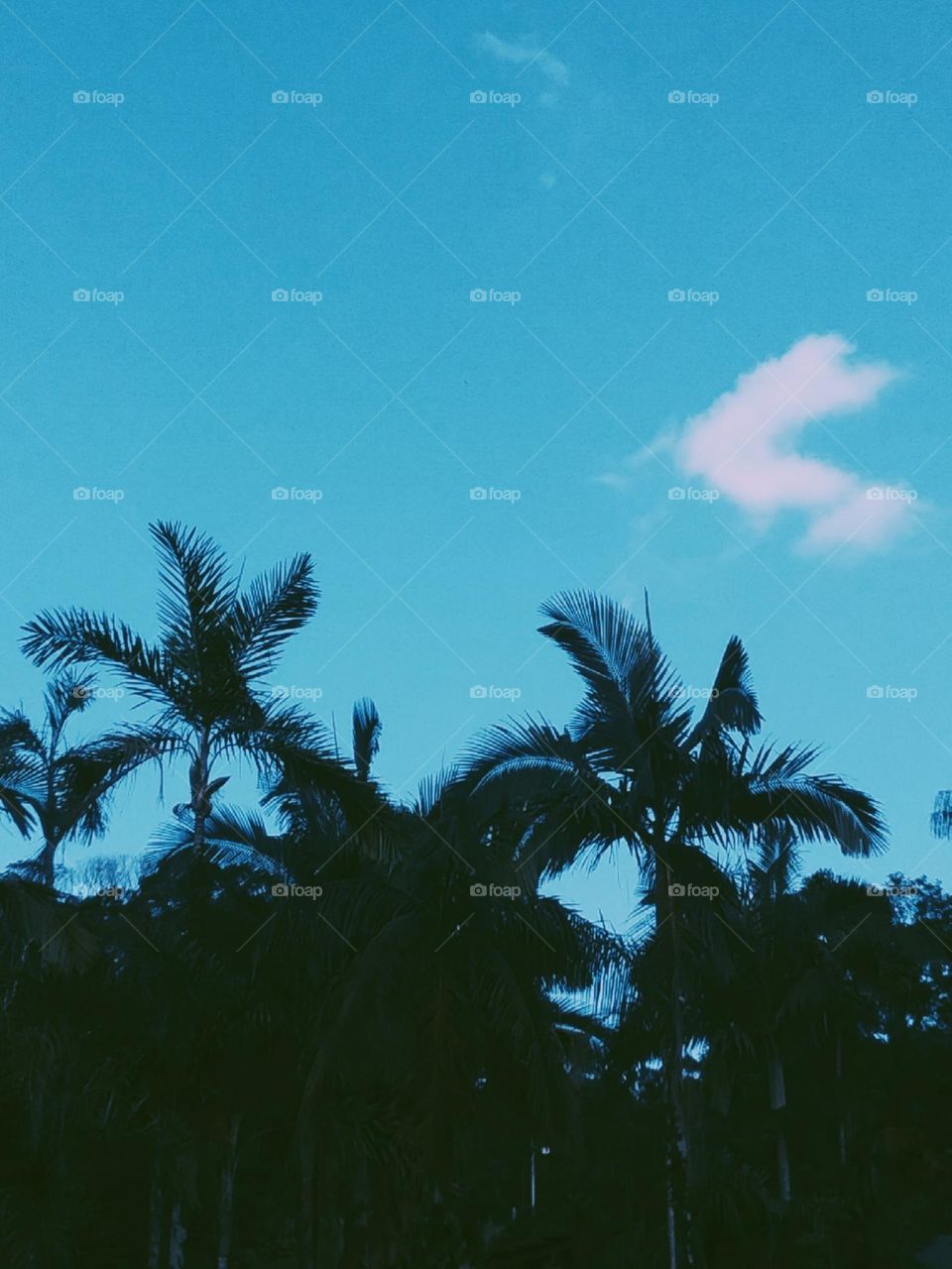 Estonteante céu de verão.