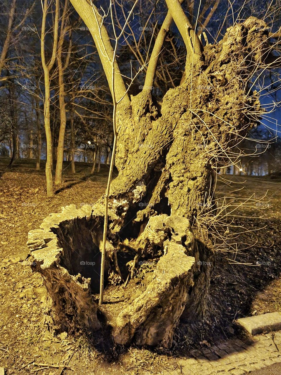 Ajungi acolo unde trebuie să fii