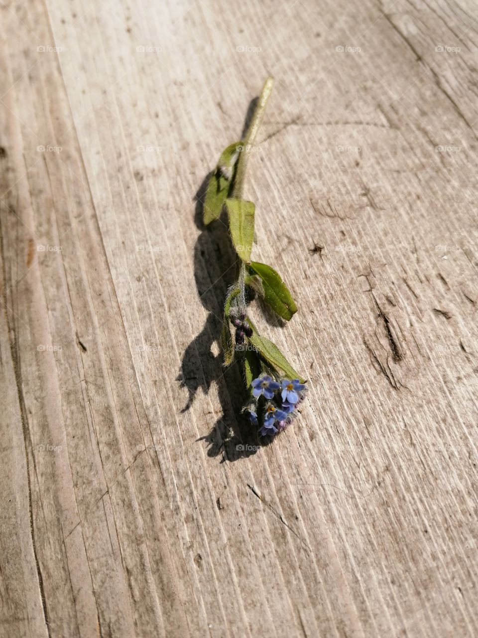 I'll let you stay 💙