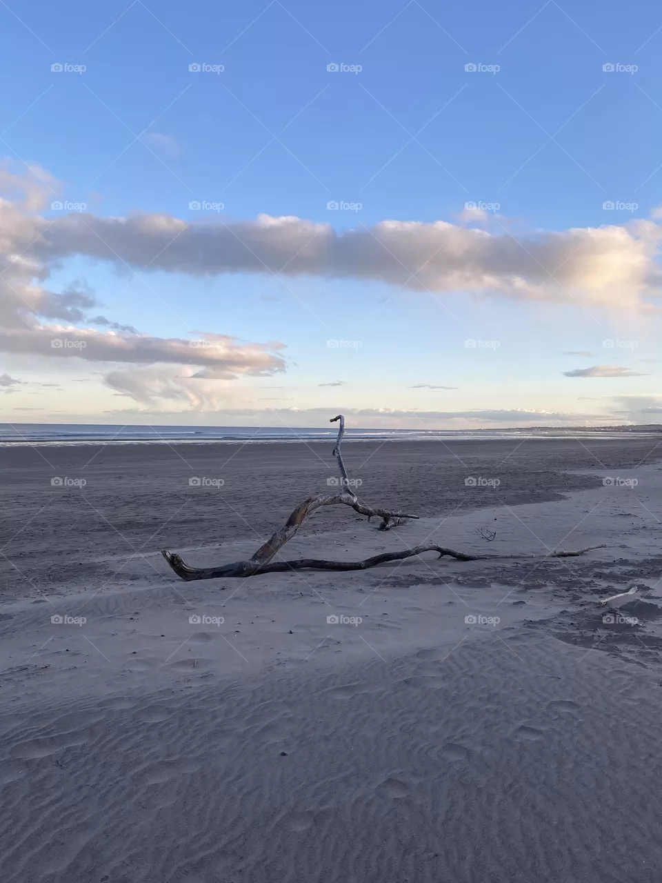 Favourite place 
