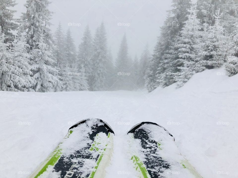 White and green 