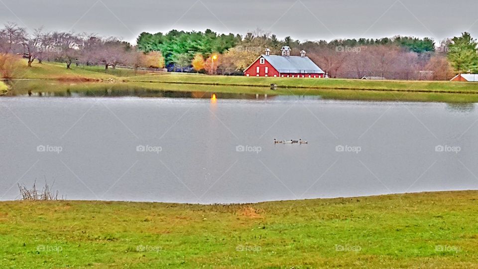 Farm museum. local farm museum and pond