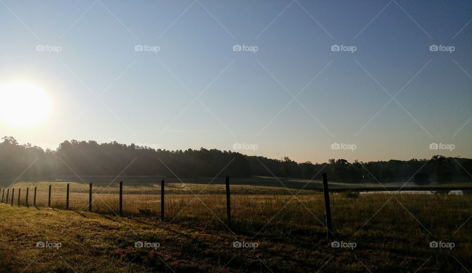 Stillness in the morning