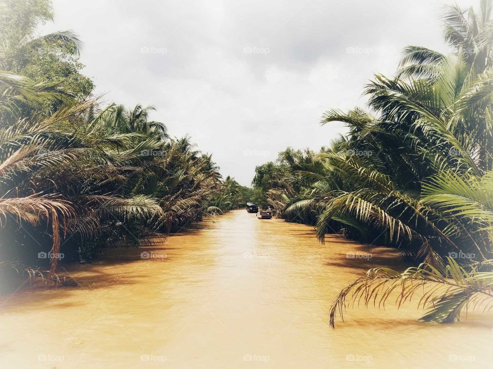 It is the Mekong river in Ho Chi Minh City, Vietnam. Mekong Delta is the southernmost region of Vietnam. It is often referred to as the rice bowl of Vietnam as it produces three harvests per year. 