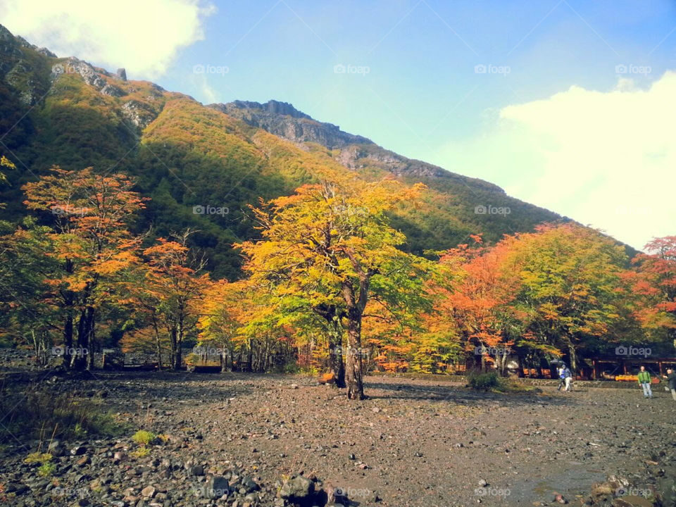 hemosa postal otoñal