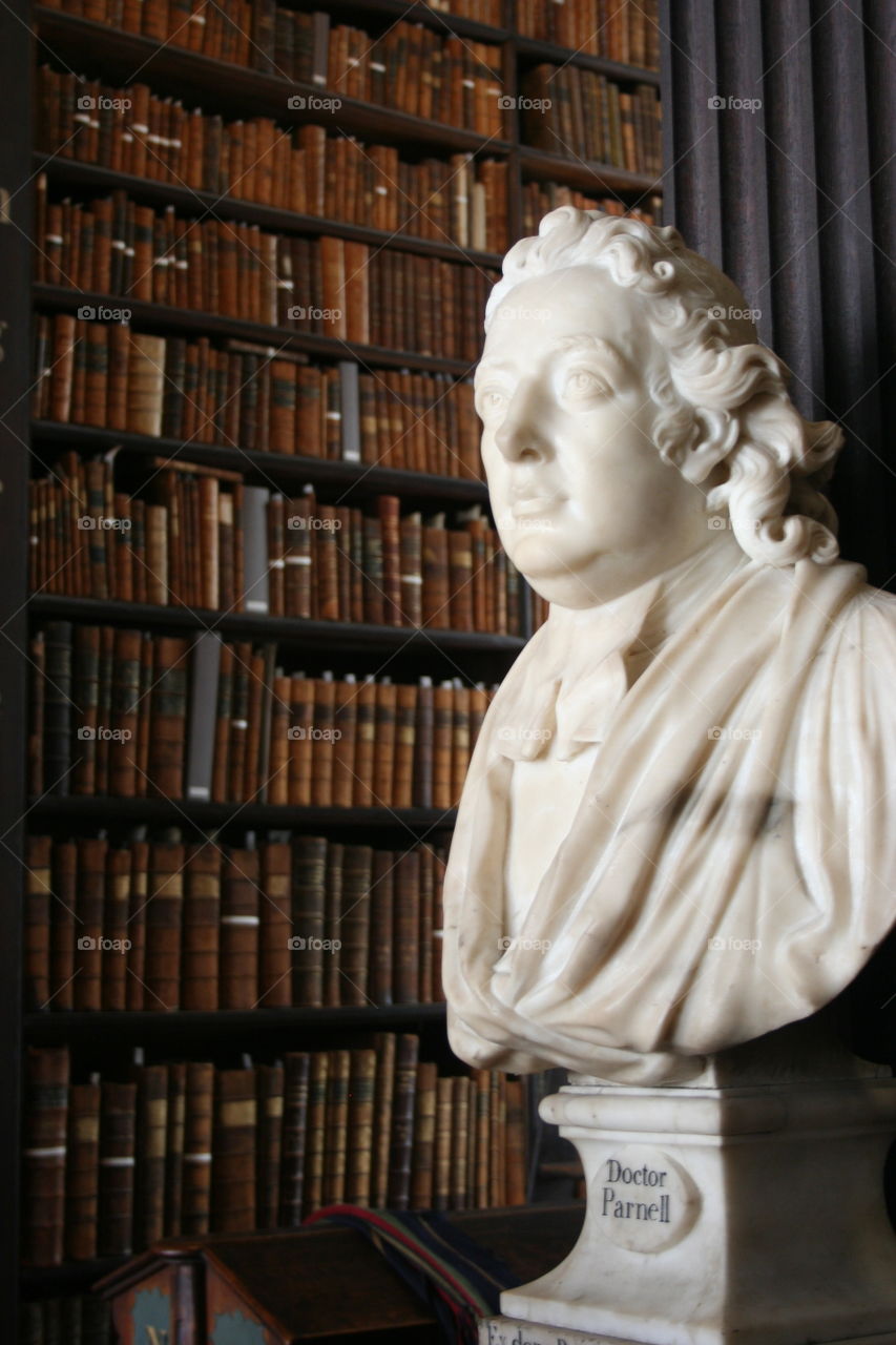Marble bust in classical library
