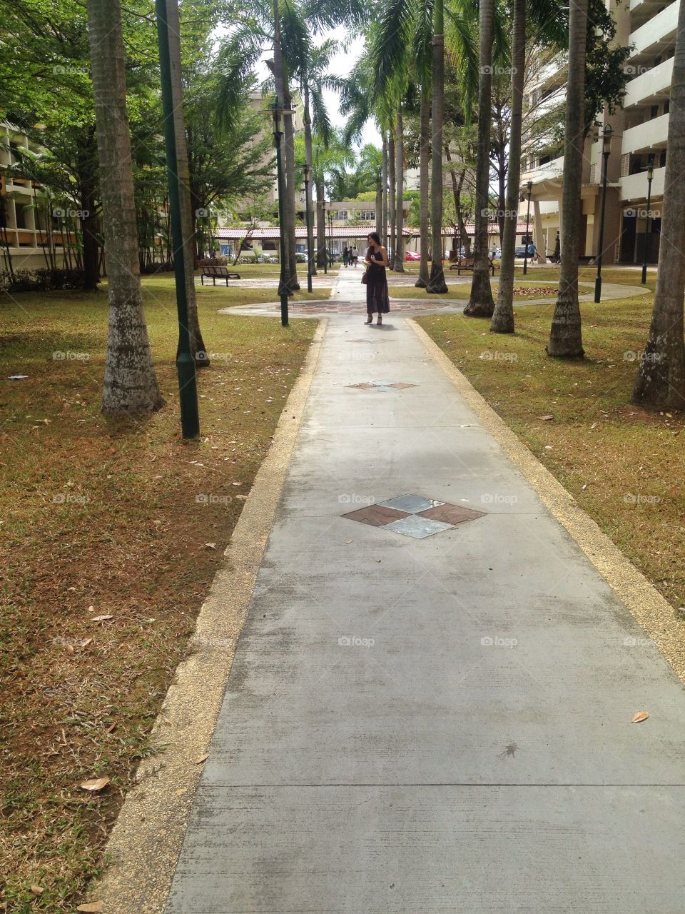 Girl standing along a garden path. A girl standing on a garden path lined by trees