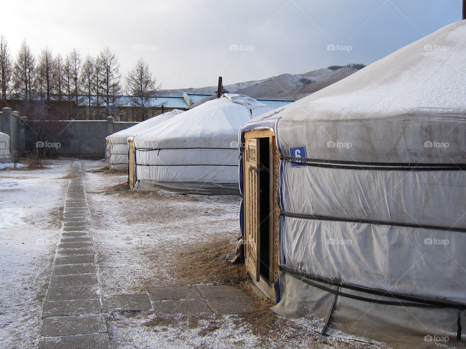 snow mountain tree park by thepapierdollies