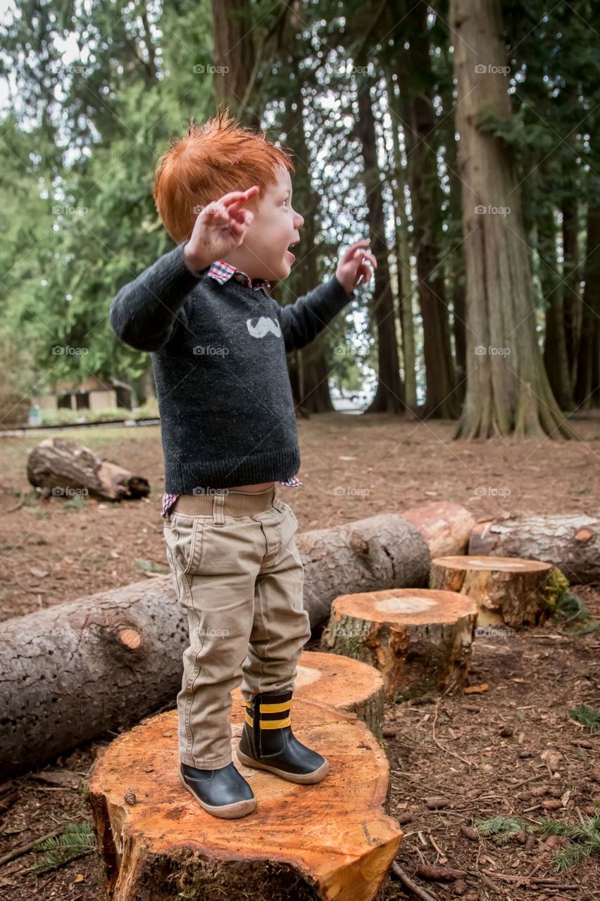 Toddler playing on tree stumps. Mount Douglas park, Vancouver Island, Canada 
